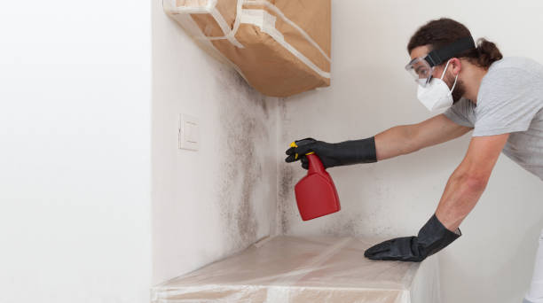 Professional Mold Cleanup technician working in Highland Park, IL