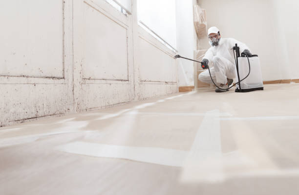 24/7 Emergency Mold Cleanup experts in Highland Park, IL
