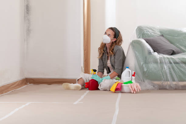 Reliable Mold Cleanup contractor in Highland Park, IL by WQB Mold Removal